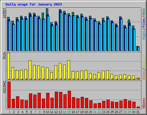 Daily usage for January 2023