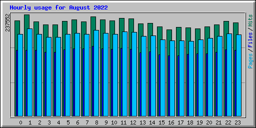 Hourly usage for August 2022