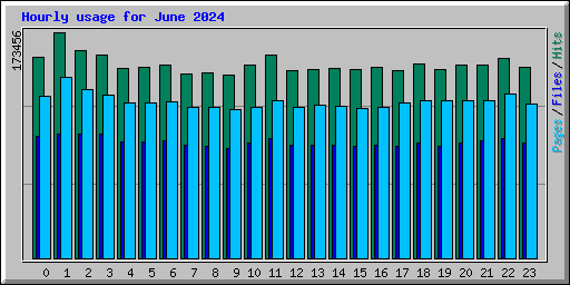 Hourly usage for June 2024