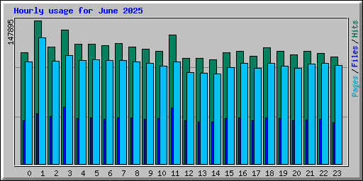 Hourly usage for June 2025