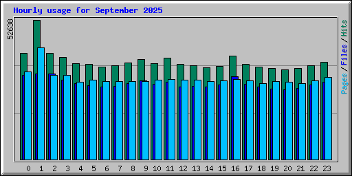Hourly usage for September 2025