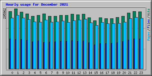 Hourly usage for December 2021