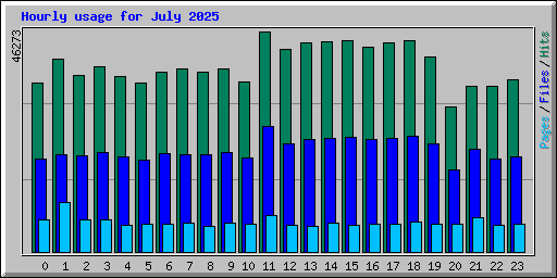 Hourly usage for July 2025