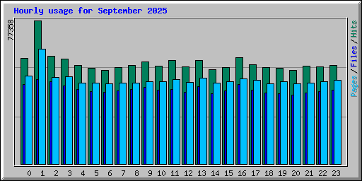 Hourly usage for September 2025