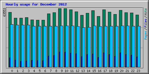 Hourly usage for December 2012