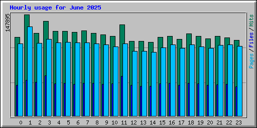 Hourly usage for June 2025