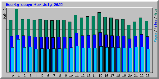 Hourly usage for July 2025
