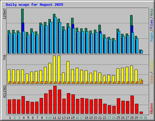 Daily usage for August 2025