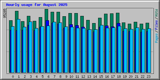 Hourly usage for August 2025